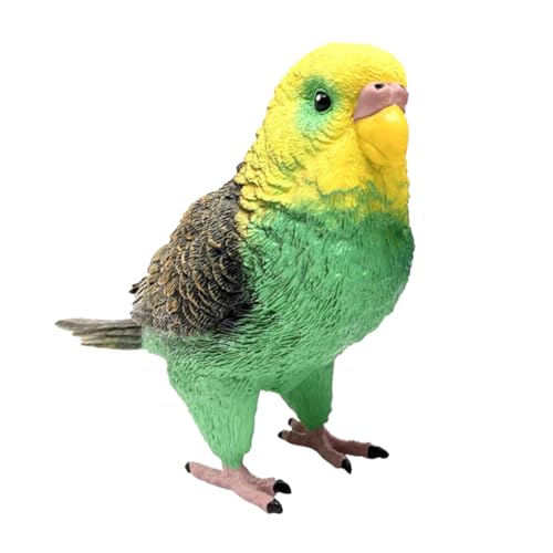 Kisangel Realistisches Budgerigar Modell Farbenfroher Kunststoff Papagei Fein Gearbeitetes Kinderkognitives Lernspielzeug für Heim und Gartendekoration Fördert Fantasieentwicklung von Kisangel