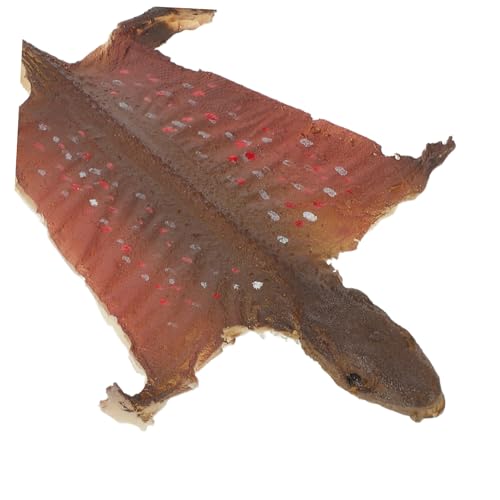 Kisangel Realistisches Gecko Modell Halloween Dekoration Kunststoff Echsenfigur für Garten Innenbereich Vielseitiges Reptilien-dekor und Scherzartikel von Kisangel