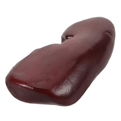 Kisangel Realistisches Halloween Schweine-nieren Modell Detailgetreuer Grusel Deko-Prop für Horror-Partys Cosplay und Halloween Streiche Authentische Textur Lustiger Scherzartikel Kisangel Realistisches Halloween Schweine-nieren Modell Detailgetreuer Grusel Deko-Prop für Horror-Partys Cosplay und Halloween Streiche Authentische Textur Lustiger Scherzartikel von Kisangel