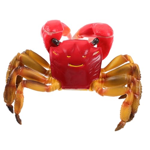 Kisangel Realistisches Krabbenmodell aus Kunststoff Naturgetreue Details Langlebig und Formstabil Dekoratives Meerestier für Aquarium und Fischbehälter Edukatives Meeres deko von Kisangel