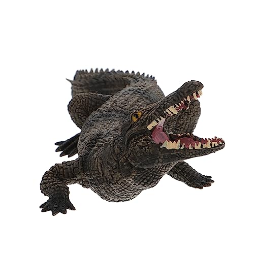 Kisangel Realistisches Krokodil Tierspielzeug aus Robustem Material Detailgetreue Figur für Frühe Bildung und Kognitive Entwicklung Stabiles Lernspielzeug für Jungen und Mädchen von Kisangel