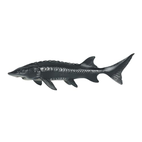Kisangel Realistisches Kunststoff Fischmodell Tier Figur Lernspielzeug Dekoratives Meereslebewesen Ornament für Alltag und Party Kisangel Realistisches Kunststoff Fischmodell Tier Figur Lernspielzeug Dekoratives Meereslebewesen Ornament für Alltag und Party von Kisangel