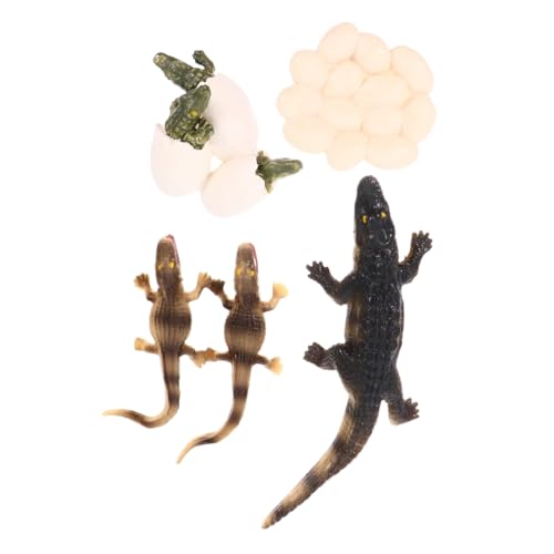 Kisangel Realistisches Mini Simulation Tiermodell Krokodil Lebenszyklus Lernspielzeug für Umweltfreundlich Sicher und Pädagogisch Geeignet Kisangel Realistisches Mini Simulation Tiermodell Krokodil Lebenszyklus Lernspielzeug für Umweltfreundlich Sicher und Pädagogisch Geeignet von Kisangel