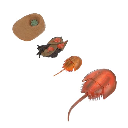 Kisangel Realistisches Miniatur Meerestiere Figuren Lernspielzeug Kognitive Entwicklung Desktop Ornament für Zuhause und Schule Kisangel Realistisches Miniatur Meerestiere Figuren Lernspielzeug Kognitive Entwicklung Desktop Ornament für Zuhause und Schule von Kisangel