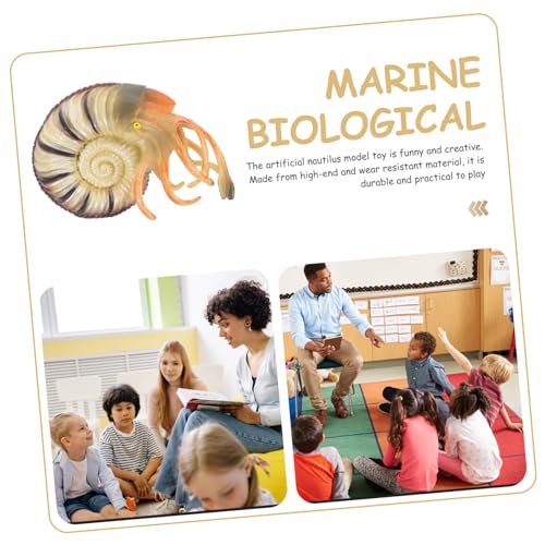Kisangel Realistisches Nautilus Modell aus PVC Meerestiere Simulation Lernspielzeug Tierfigur Aquarium Deko Geschenk von Kisangel