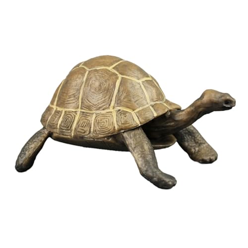 Kisangel Realistisches Plastikschildkrötenmodell Lernspielzeug Themen Deko Figur für Schule und Party von Kisangel