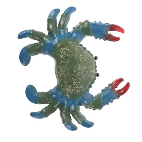 Kisangel Realistisches Spielzeugmodell für Simuliertes Meereslebewesen als Strandspielzeug Dekoration von Aquarien und Terrarien von Kisangel