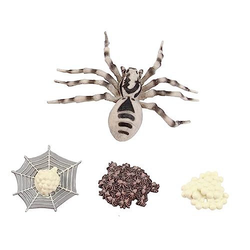 Kisangel Realistisches Wolfsspinne Modell Tierfiguren Lebenszyklus Simulation Lehrspielzeug für Lernspiel Dekoration Kisangel Realistisches Wolfsspinne Modell Tierfiguren Lebenszyklus Simulation Lehrspielzeug für Lernspiel Dekoration von Kisangel