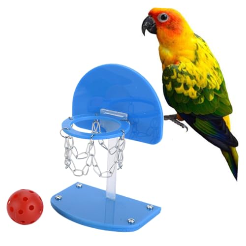 Kisangel Satz Basketball -Rack - Papagei Basketballkorb Vogel-Basketballspielzeug Desktop-Basketballspiel Conure Vogelspielzeug Miniatur-Basketball Basketball-Minikorb Blau von Kisangel