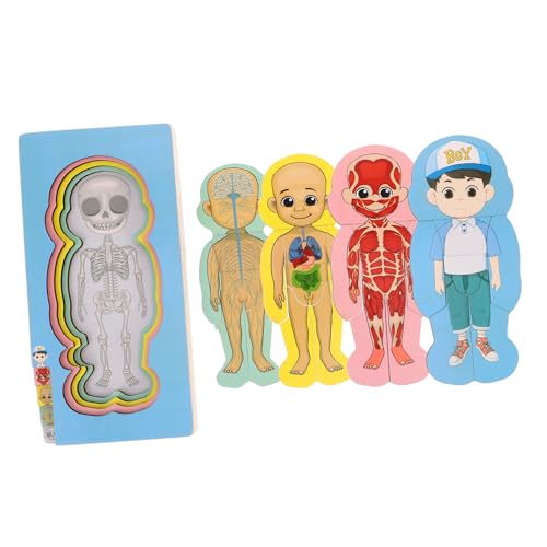 Kisangel Set Puzzle Zur Struktur des Menschlichen Körpers Denkpuzzles Puzzle Zum Menschlichen Körper Für Denksportaufgaben Organmodelle Denkspielzeug Für Aus Holz Kisangel Set Puzzle Zur Struktur des Menschlichen Körpers Denkpuzzles Puzzle Zum Menschlichen Körper Für Denksportaufgaben Organmodelle Denkspielzeug Für Aus Holz von Kisangel