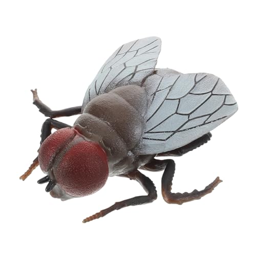 Kisangel Simulation Fliegenspielzeug Realistisches Insekt Gefälschtes Fliegenspielzeug Insektenstreiche Fliegenscherzspielzeug Streichfliegenspielzeug Für Scherze Praktische Kisangel Simulation Fliegenspielzeug Realistisches Insekt Gefälschtes Fliegenspielzeug Insektenstreiche Fliegenscherzspielzeug Streichfliegenspielzeug Für Scherze Praktische von Kisangel