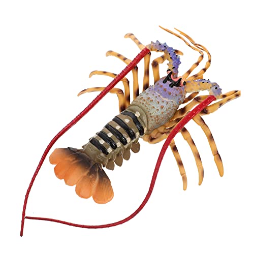 Kisangel Simulation Lobster Modellspielzeug Realistisches Kunststoff Lobster für Heimdekoration Lernspielzeug Sicheres und Design für und Naturerkundung von Kisangel