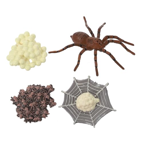 Kisangel Simulation Spinnen Lebenszyklus Modell Tierwachstum Spielfigur Lernspielzeug für Naturwissenschaftliche Frühbildung und Ausstellung Kisangel Simulation Spinnen Lebenszyklus Modell Tierwachstum Spielfigur Lernspielzeug für Naturwissenschaftliche Frühbildung und Ausstellung von Kisangel