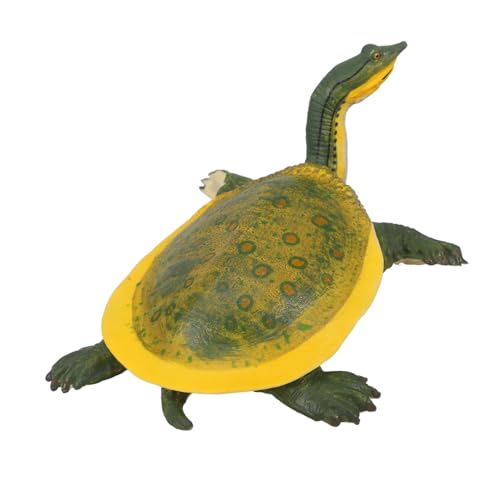 Kisangel Simulationsmodell Einer Plastikschildkröte Kinderspielzeug Schildkröte Tier Modell winzig Erwachsene Simulation Schildkrötendekoration realistische Schildkrötenmodelle Kisangel Simulationsmodell Einer Plastikschildkröte Kinderspielzeug Schildkröte Tier Modell winzig Erwachsene Simulation Schildkrötendekoration realistische Schildkrötenmodelle von Kisangel