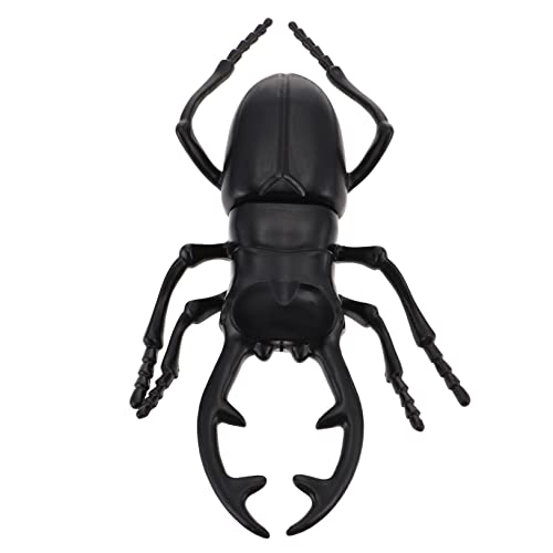 Kisangel Sound Toy Beetle kinderspielzeug Käferspielzeug für realistischer gefälschtes Käferspielzeug für Simulationskäfer Plastik Schwarz Kisangel Sound Toy Beetle kinderspielzeug Käferspielzeug für realistischer gefälschtes Käferspielzeug für Simulationskäfer Plastik Schwarz von Kisangel