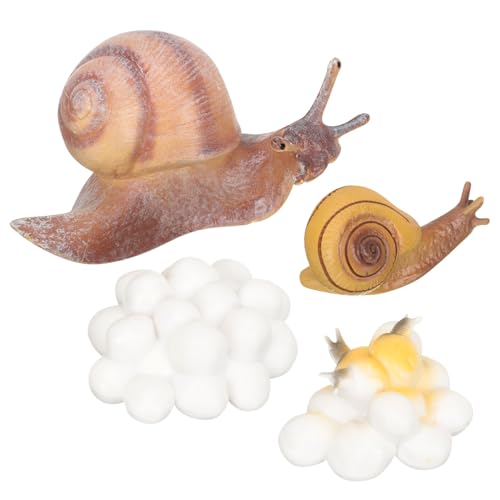 Kisangel Tierwachstumszyklus Modell Teiliges Montessori Lernspielzeug Realistische Schnecken Hühner Figuren für Frühkindliche Bildung und Naturerfahrung Kisangel Tierwachstumszyklus Modell Teiliges Montessori Lernspielzeug Realistische Schnecken Hühner Figuren für Frühkindliche Bildung und Naturerfahrung von Kisangel