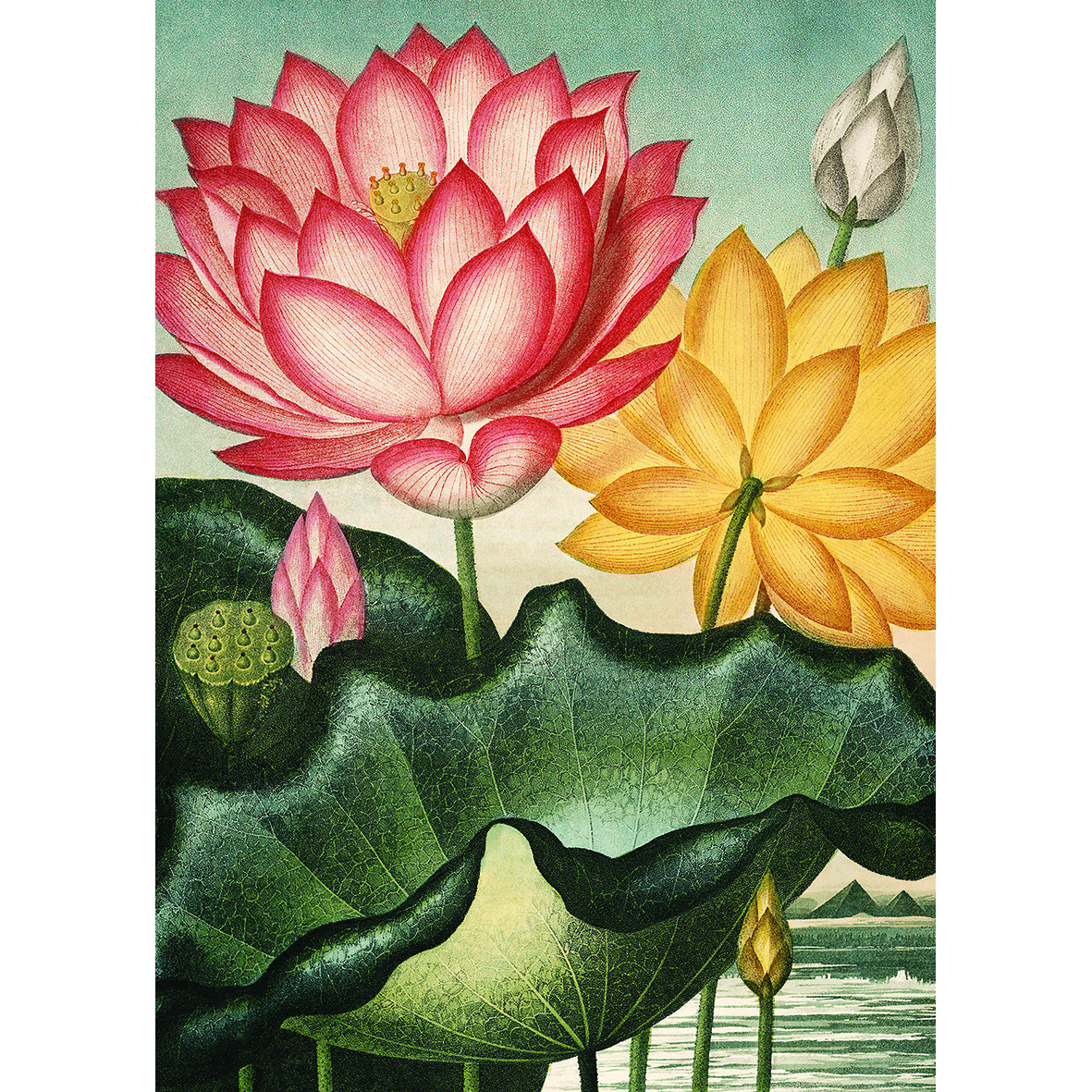 Kiub Blumen V 1000 Teile Puzzle Kiub-90084 Kiub Blumen V 1000 Teile Puzzle Kiub-90084 von Kiub