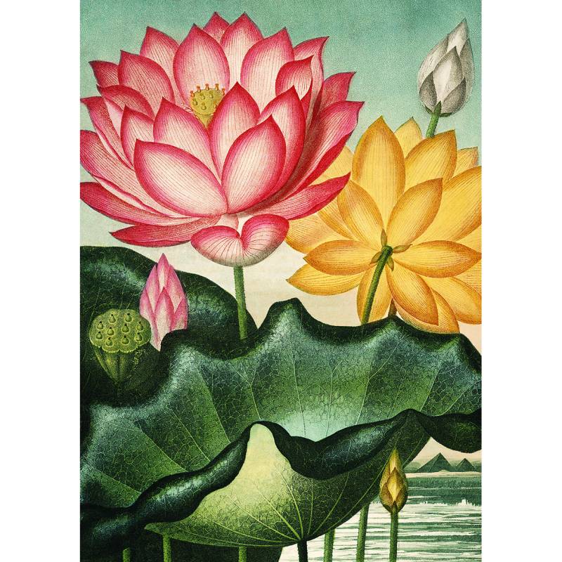 Kiub Blumen V 1000 Teile Puzzle Kiub-90084 Kiub Blumen V 1000 Teile Puzzle Kiub-90084 von Kiub