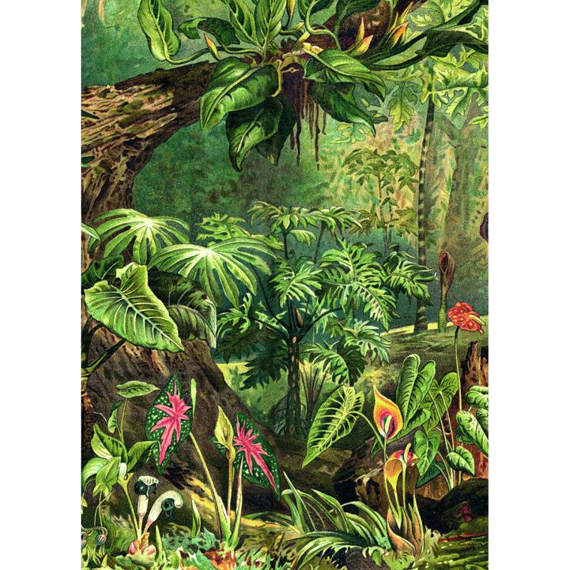 Kiub Dschungel 1000 Teile Puzzle Kiub-90082 Kiub Dschungel 1000 Teile Puzzle Kiub-90082 von Kiub