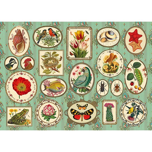 Kiub Naturforscher 1000 Teile Puzzle Kiub-90098 Kiub Naturforscher 1000 Teile Puzzle Kiub-90098 von Kiub