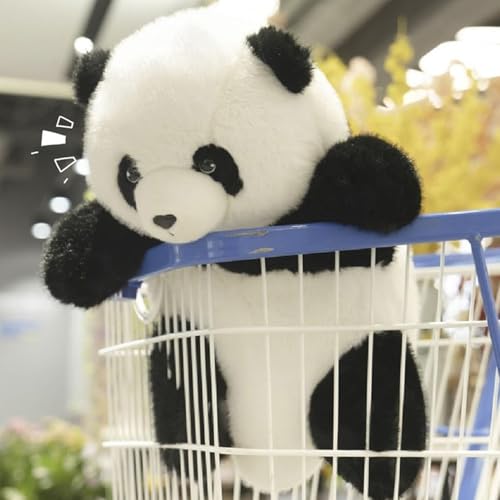 Kixolazr Panda Plüschtier | Kuschelweiche Panda Figur Für Kinder | Süßes Stofftier Sammelstück Wohnaccessoire Für Jugendliche Erwachsene Frauen Männer Mädchen Allgemein Kixolazr Panda Plüschtier | Kuschelweiche Panda Figur Für Kinder | Süßes Stofftier Sammelstück Wohnaccessoire Für Jugendliche Erwachsene Frauen Männer Mädchen Allgemein von Kixolazr