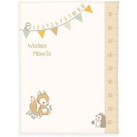 Herding 1540223014 - babybest® Meilensteindecke Monatsdecke Waldfreunde, Soft-Peach, 75x100cm von Klaus Herding GmbH