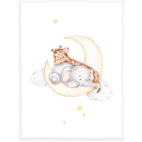 Klaus Hering 1440248014 - babybest® Microfaserflausch-Decke, Sleeping on the moon, 75x100 cm von Klaus Herding GmbH