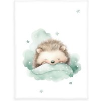 Klaus Hering 1440292014 - babybest® Microfaserflausch-Decke, Kleiner Igel, 75x100 cm von Klaus Herding GmbH