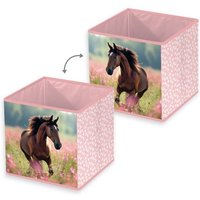 Klaus Hering 8524201196 - Young Collection Aufbewahrungsbox, Pferd , 30x30x30 cm Klaus Hering 8524201196 - Young Collection Aufbewahrungsbox, Pferd , 30x30x30 cm von Klaus Herding GmbH