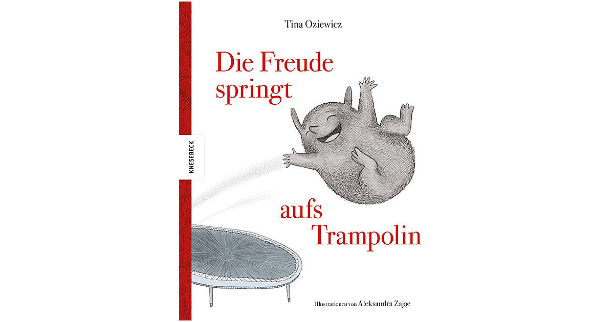 Buch - Die Freude springt aufs Trampolin von Knesebeck Verlag