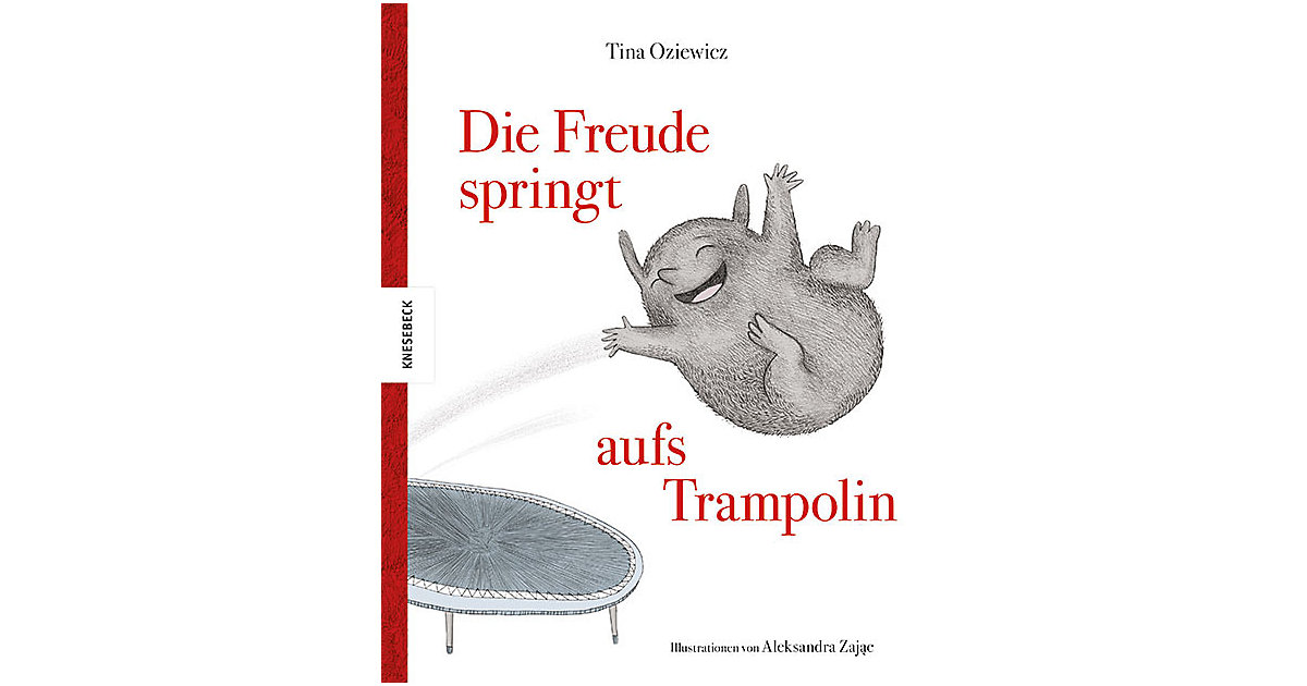 Buch - Die Freude springt aufs Trampolin Buch - Die Freude springt aufs Trampolin von Knesebeck Verlag