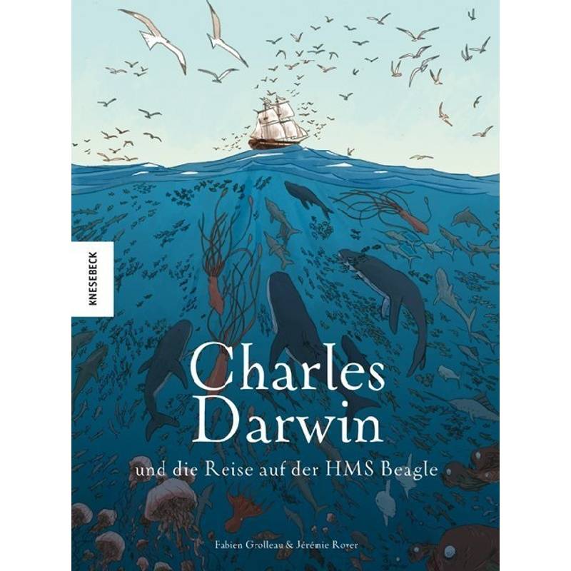 Charles Darwin und die Reise auf der HMS Beagle von Knesebeck