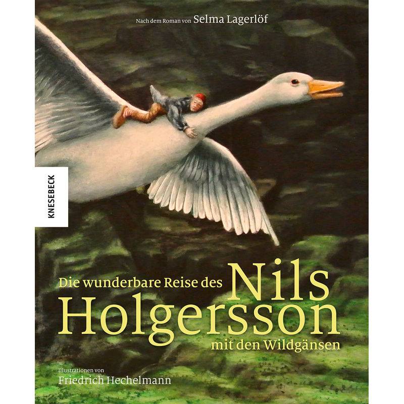 Die wunderbare Reise des Nils Holgersson mit den Wildgänsen von Knesebeck