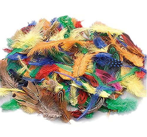 Knorr Prandell 212543001 2543001 Schmuckfedern-Mix, 1.5 - 10 cm, bunt von Knorr Prandell