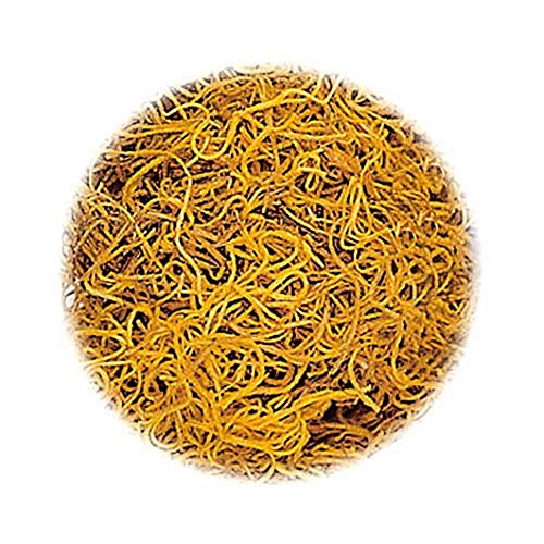 KnorrPrandell 6692052 Dschungelgras, gelb von Knorr Prandell