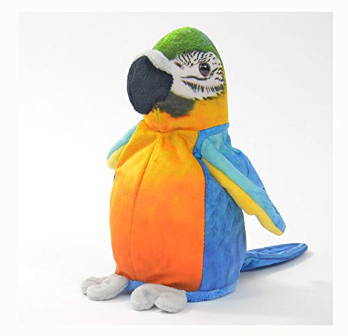 Kögler 75956 - Labertier Papagei Sunny, ca. 21 cm groß, nachsprechendes Plüschtier mit Wiedergabefunktion, plappert alles witzig nach und bewegt sich, batteriebetrieben von Kögler