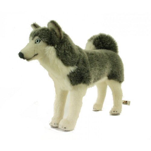 Kösen, Husky, ULF, 37 cm, stehend Kösen, Husky, ULF, 37 cm, stehend von Kösen