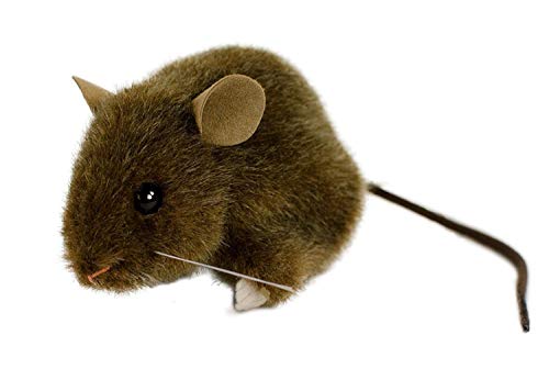 Kösener 5563 Maus braun, 22 cm, Plüschtier, Plüschmaus, Kuschelmaus, Stofftier Kösener 5563 Maus braun, 22 cm, Plüschtier, Plüschmaus, Kuschelmaus, Stofftier von Kösen