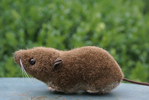 Kösener 3500 - Spitzmaus von Teddys Rothenburg