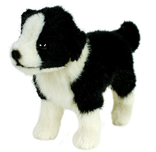Kösen, Border Colliewelpe, 20 cm, stehend, schwarz/weiß, Plüschbordercollie Kösen, Border Colliewelpe, 20 cm, stehend, schwarz/weiß, Plüschbordercollie von Teddys Rothenburg