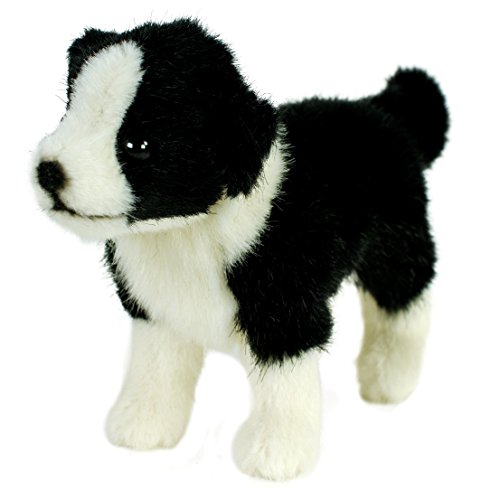 Teddys Rothenburg Kösen, Border Colliewelpe, 20 cm, stehend, schwarz/weiß, Plüschbordercollie von Teddys Rothenburg