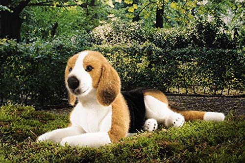 Kösener 7300 Beagle liegend braun/weiß/schwarz 38 cm Plüschbeagle von Kösen