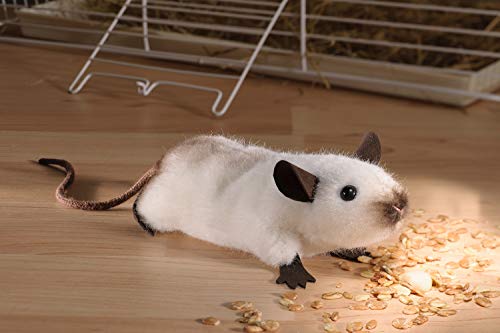 Kösener 7440 Stofftier Birmamaus Maus beige - braun 13 cm Kuscheltier Plüschtier Schmusetier Spielzeug Baby Kind Plüsch Alcantara Kösener 7440 Stofftier Birmamaus Maus beige - braun 13 cm Kuscheltier Plüschtier Schmusetier Spielzeug Baby Kind Plüsch Alcantara von Kösener