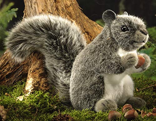 Kösener Eichhörnchen Hörnchen grau stehend 18 cm 7370 Plüschtier Kuscheltier Stofftier Plüsch von Kösener