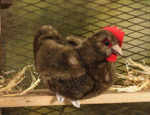 Kösener Huhn Henne Hahn sitzend 14 cm braun 7362 Stofftier Kuscheltier Stofftier Plüschtier Plüsch Kösener Huhn Henne Hahn sitzend 14 cm braun 7362 Stofftier Kuscheltier Stofftier Plüschtier Plüsch von Kösener
