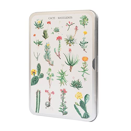 Kokonote Puzzle 100 Teile - Botanical Cacti Puzzle - Größe : 25x15 cm - Geliefert mit metallischer Box von Grupo Erik