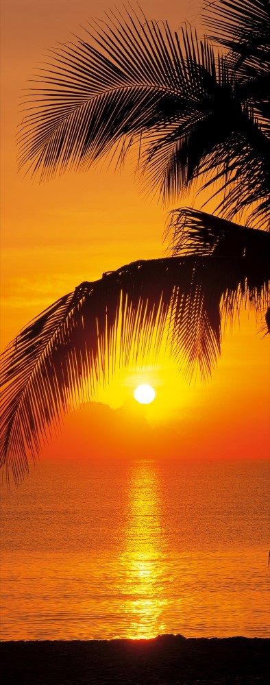 Türtapete Palmy Beach Sunrise von Komar