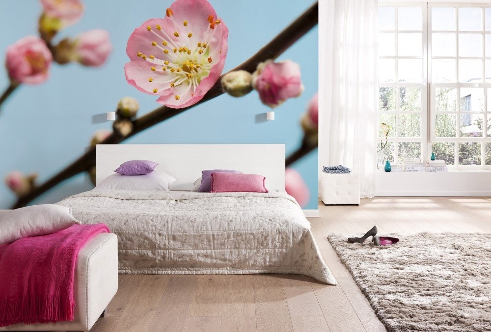 Vlies Fototapete Peach Blossom Version V7-753 Vlies Fototapete Peach Blossom Version V7-753 von Komar
