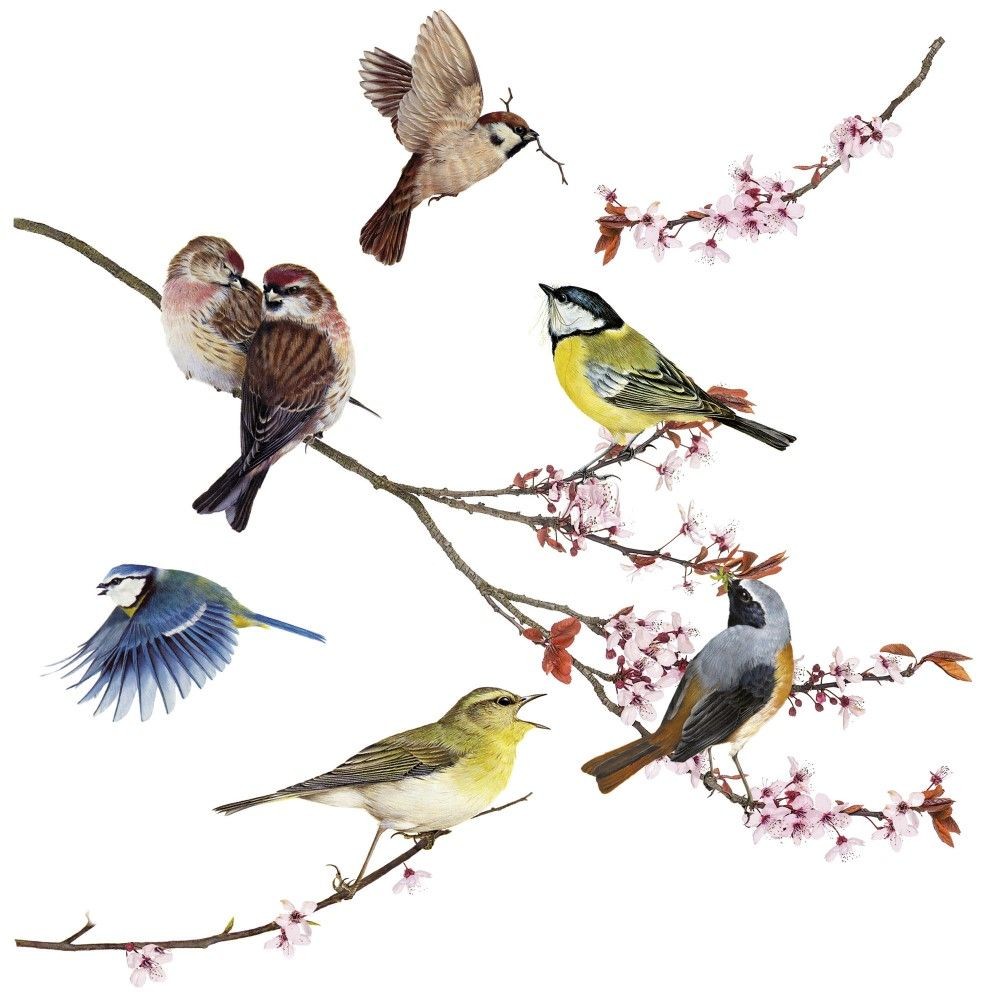 Window-Sticker Birds von Komar