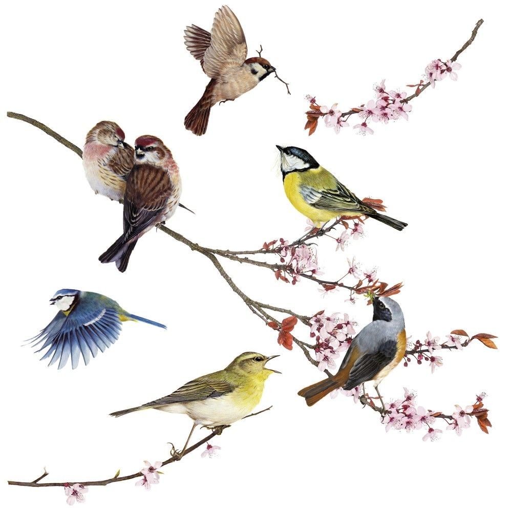 Window-Sticker Birds Window-Sticker Birds von Komar